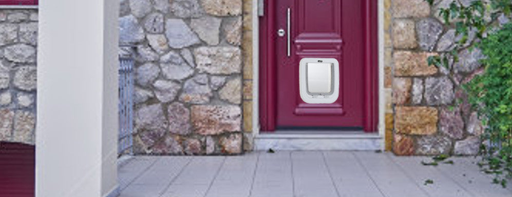 Dog doors